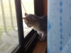 2012-07-04_05-37-59