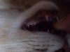 2012-07-06_01-32-31