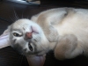 2012-07-06_01-47-06