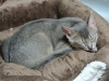 2012-07-15_03-37-41