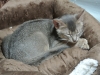 2012-07-15_03-38-30