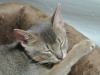 2012-07-15_03-42-22