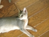 2012-07-15_15-47-22