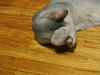 2012-07-16_04-42-35