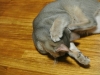 2012-07-16_04-42-44