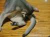 2012-07-16_04-43-06