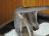 2012-07-16_06-23-46