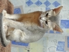 2012-07-18_21-05-59