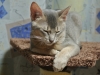 2012-07-18_21-10-31