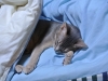 2012-07-18_21-50-20