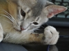 2012-07-20_16-40-36