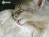 2012-07-20_16-40-44