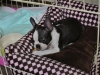 2012-07-21_22-02-35