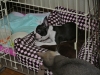 2012-07-21_22-03-13