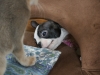 2012-07-22_14-35-27