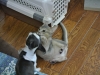 2012-07-22_14-36-49_01