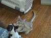 2012-07-22_14-36-49_02