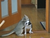 2012-07-22_14-37-37