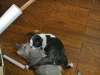 2012-07-22_14-43-09
