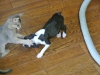 2012-07-22_14-43-25