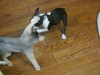2012-07-22_14-43-26