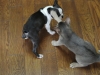 2012-07-22_14-46-56