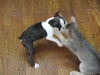 2012-07-22_14-46-56_01