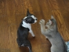 2012-07-22_14-46-57