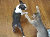 2012-07-22_14-46-57_01