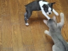 2012-07-22_14-46-58