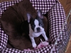 2012-07-27_21-08-47