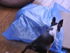 2012-07-28_10-48-02