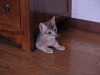 2012-08-05_13-56-21