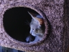 2012-08-08_09-41-55