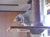 2012-08-08_11-20-00