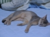 2012-08-10_22-24-05