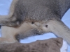 2012-08-12_01-28-58