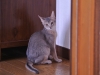 2012-08-12_11-39-03