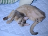 2012-08-14_23-00-39