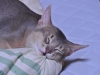 2012-08-17_21-20-26