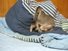 2012-08-24_14-57-00_01