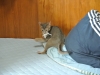 2012-08-24_15-03-57