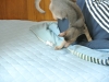 2012-08-24_15-05-00