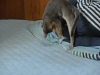 2012-08-24_15-05-00_01