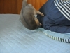 2012-08-24_15-05-01
