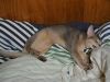 2012-08-27_22-30-40