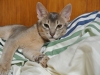 2012-08-27_22-32-03
