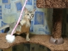 2012-09-01_00-12-09_01