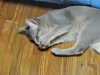 2012-09-29_23-33-18