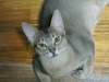 2012-09-29_23-35-20